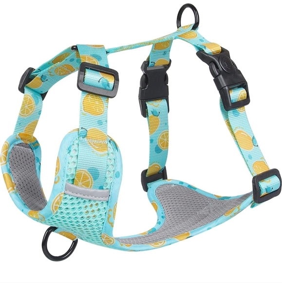 Lemon 🍋  Dog Harness M - Picture 1 of 15